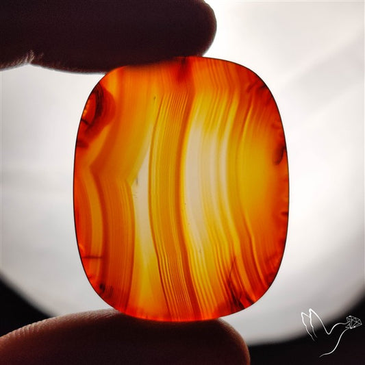 Gemmy Montana Agate Flat Slice Cabochon