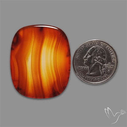Gemmy Montana Agate Flat Slice Cabochon
