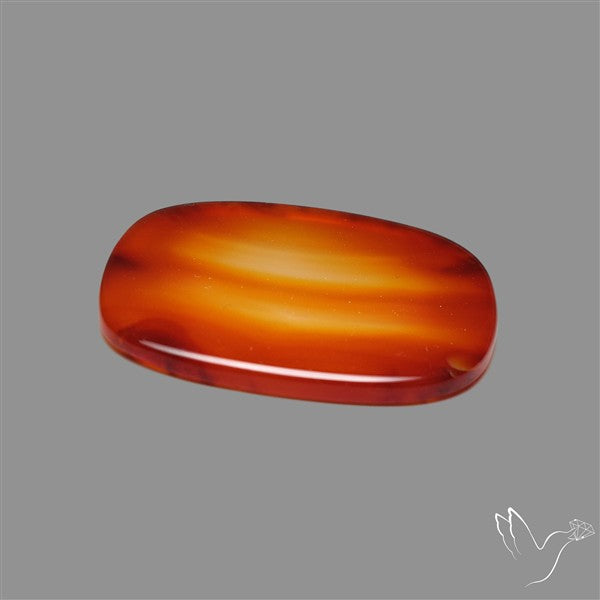 Gemmy Montana Agate Flat Slice Cabochon
