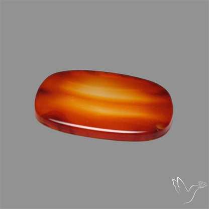 Gemmy Montana Agate Flat Slice Cabochon