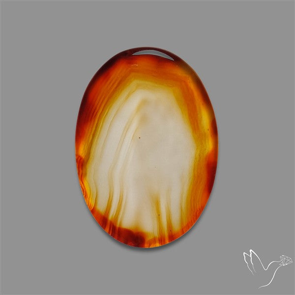 Gemmy Montana Agate Flat Slice Cabochon
