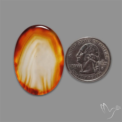 Gemmy Montana Agate Flat Slice Cabochon