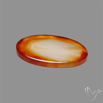 Gemmy Montana Agate Flat Slice Cabochon