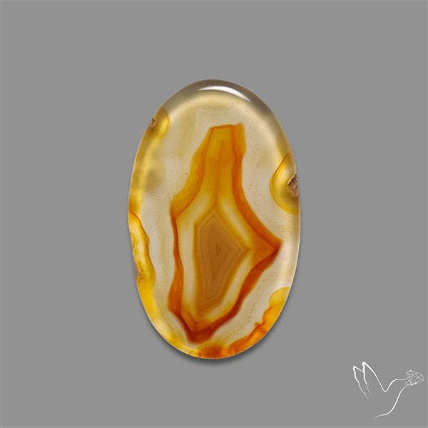 Gemmy Montana Agate Flat Slice Cabochon