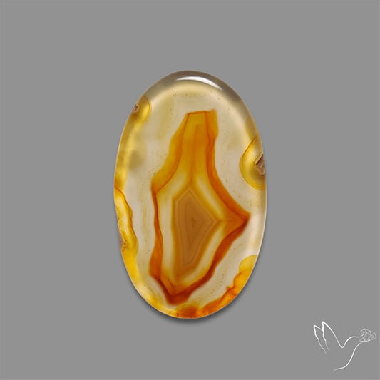 Gemmy Montana Agate Flat Slice Cabochon