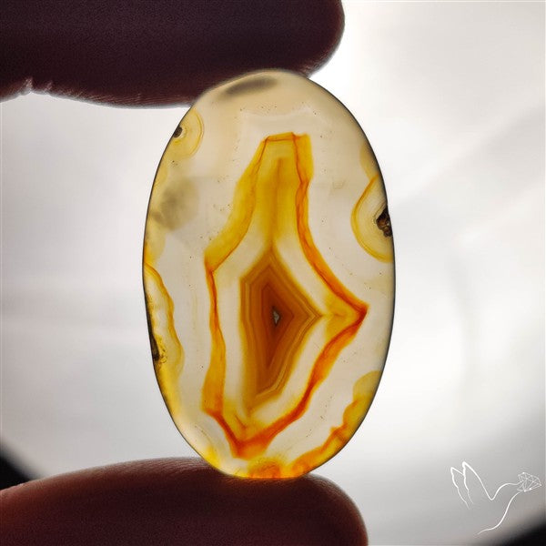 Gemmy Montana Agate Flat Slice Cabochon
