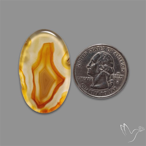 Gemmy Montana Agate Flat Slice Cabochon