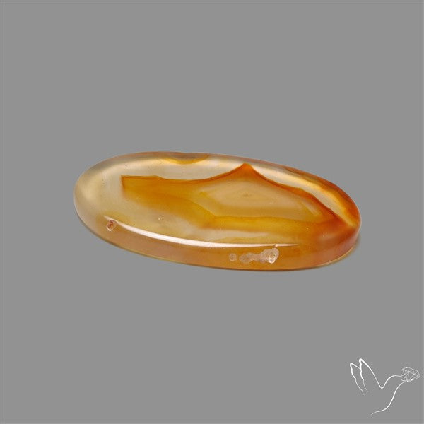 Gemmy Montana Agate Flat Slice Cabochon