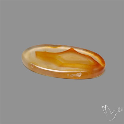 Gemmy Montana Agate Flat Slice Cabochon
