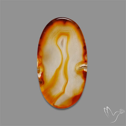 Gemmy Montana Agate Flat Slice Cabochon