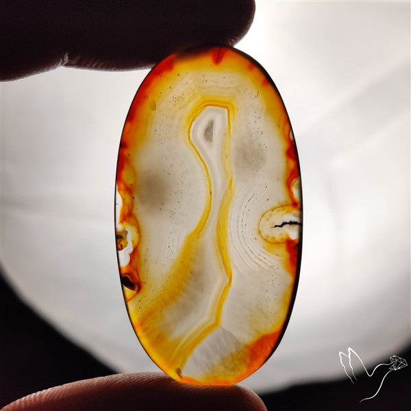 Gemmy Montana Agate Flat Slice Cabochon