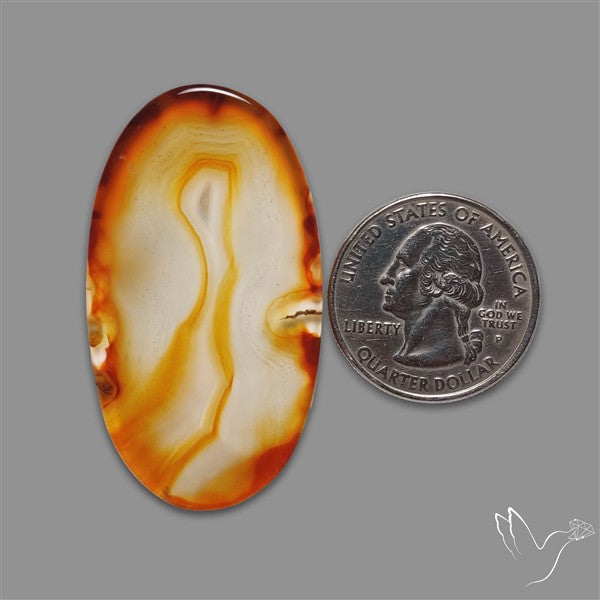 Gemmy Montana Agate Flat Slice Cabochon