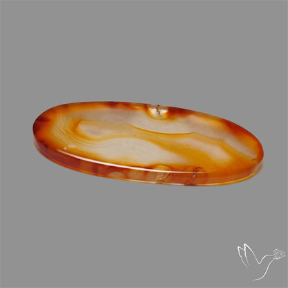 Gemmy Montana Agate Flat Slice Cabochon