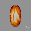 Gemmy Montana Agate Flat Slice Cabochon