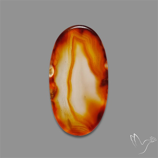 Gemmy Montana Agate Flat Slice Cabochon