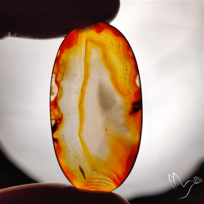 Gemmy Montana Agate Flat Slice Cabochon