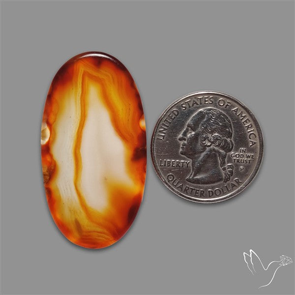 Gemmy Montana Agate Flat Slice Cabochon
