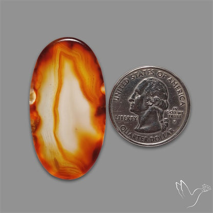 Gemmy Montana Agate Flat Slice Cabochon