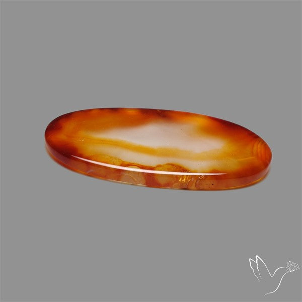 Gemmy Montana Agate Flat Slice Cabochon