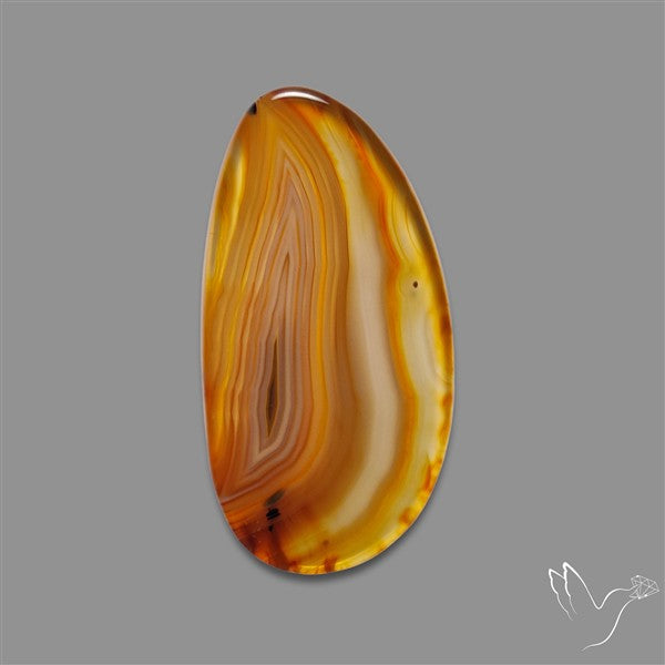 Gemmy Montana Agate Flat Slice Cabochon