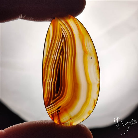 Gemmy Montana Agate Flat Slice Cabochon