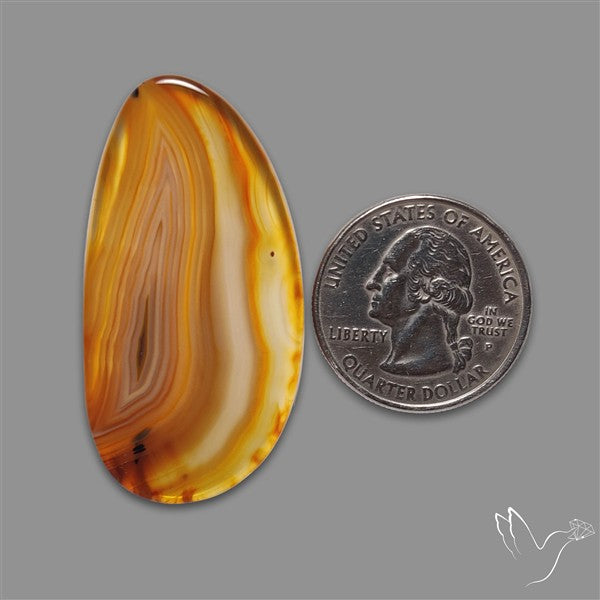 Gemmy Montana Agate Flat Slice Cabochon
