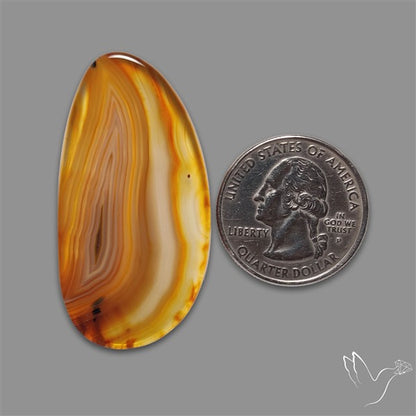 Gemmy Montana Agate Flat Slice Cabochon