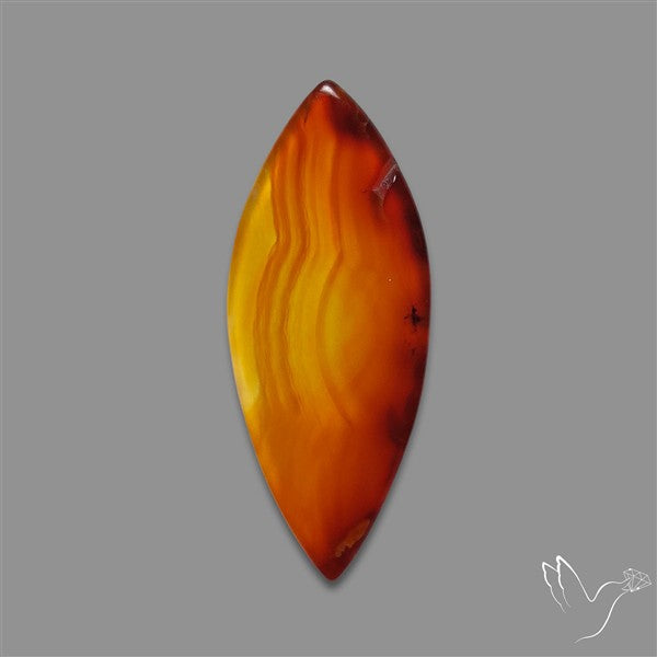 Gemmy Montana Agate Flat Slice Cabochon