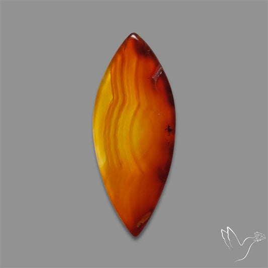 Gemmy Montana Agate Flat Slice Cabochon