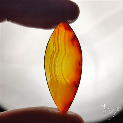 Gemmy Montana Agate Flat Slice Cabochon