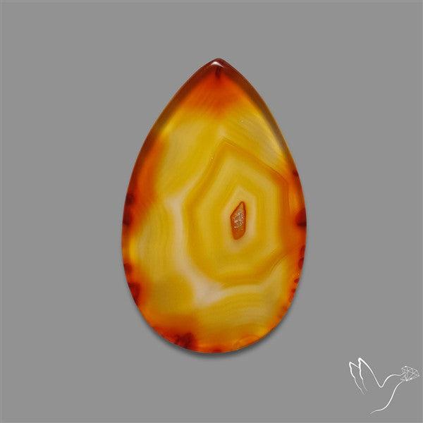 Gemmy Montana Agate Flat Slice Cabochon