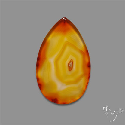 Gemmy Montana Agate Flat Slice Cabochon