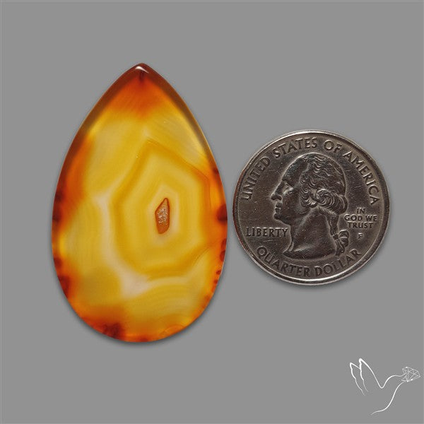 Gemmy Montana Agate Flat Slice Cabochon
