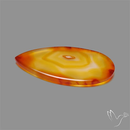 Gemmy Montana Agate Flat Slice Cabochon