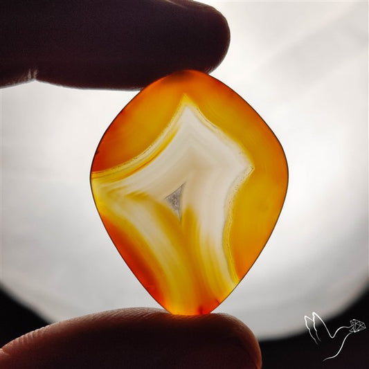 Gemmy Montana Agate Flat Slice Cabochon