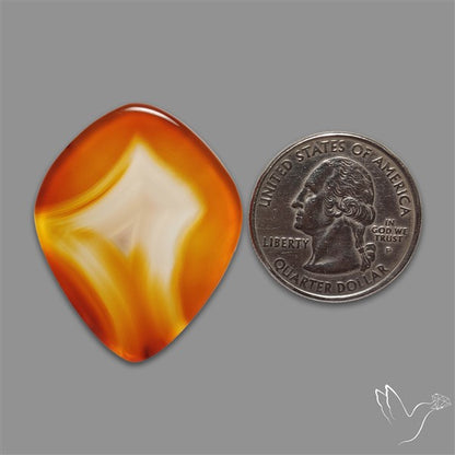 Gemmy Montana Agate Flat Slice Cabochon