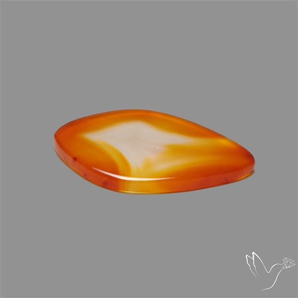 Gemmy Montana Agate Flat Slice Cabochon