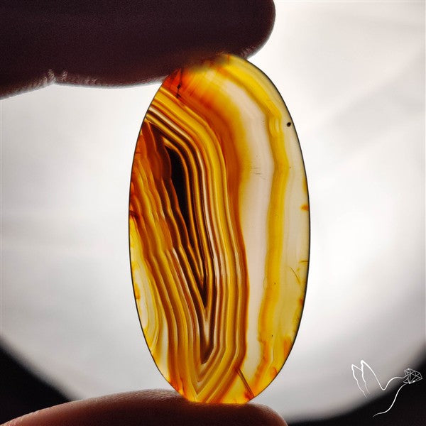Gemmy Montana Agate Flat Slice Cabochon