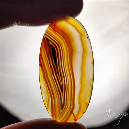 Gemmy Montana Agate Flat Slice Cabochon