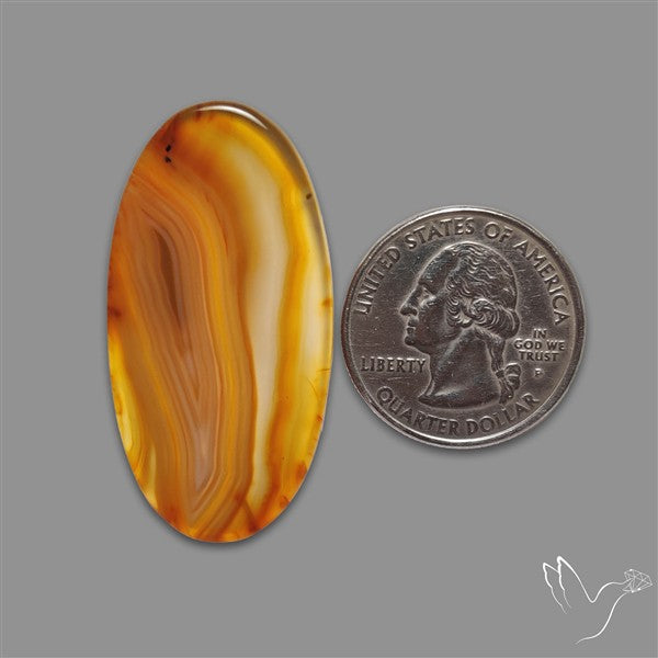 Gemmy Montana Agate Flat Slice Cabochon