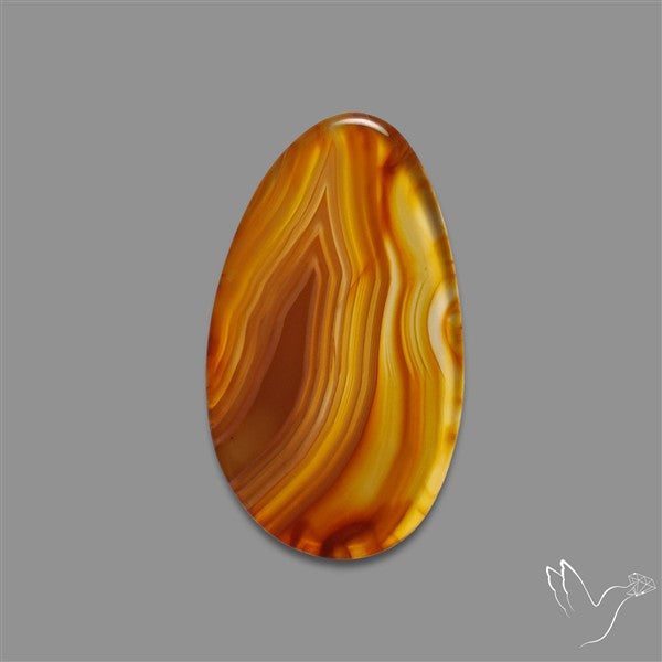 Gemmy Montana Agate Flat Slice Cabochon