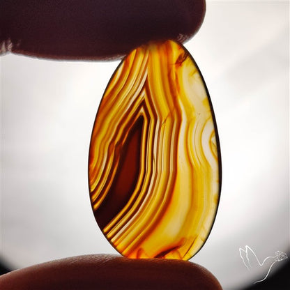 Gemmy Montana Agate Flat Slice Cabochon