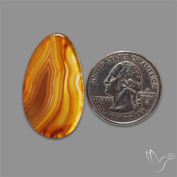 Gemmy Montana Agate Flat Slice Cabochon