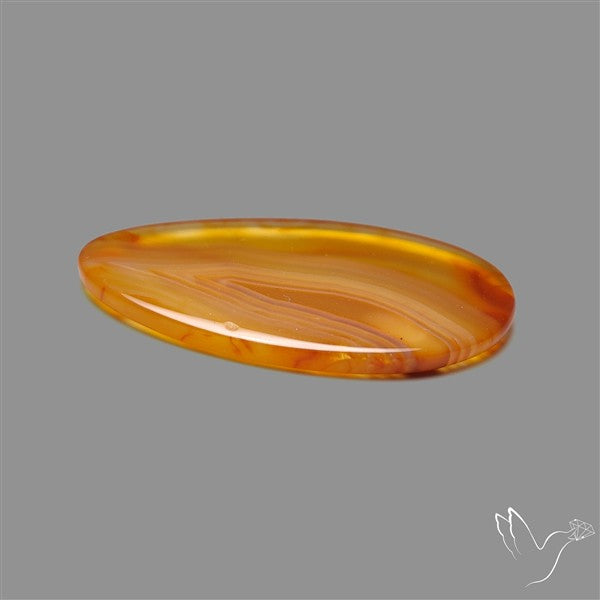 Gemmy Montana Agate Flat Slice Cabochon