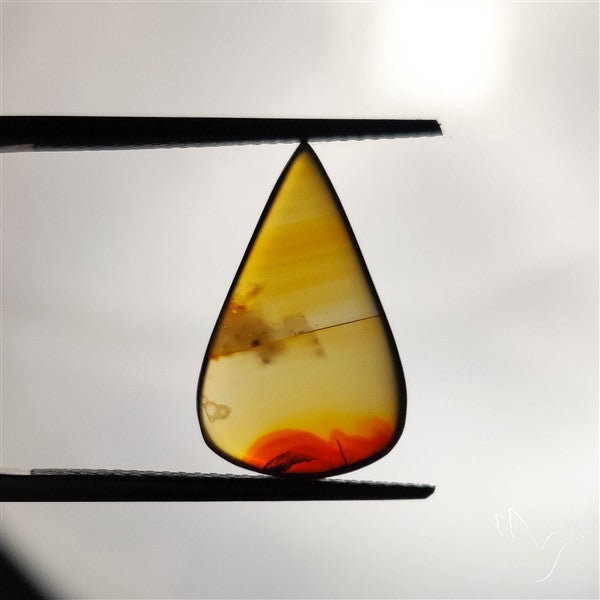 Gemmy Montana Agate Flat Slice Cabochon