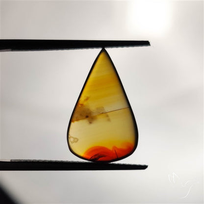 Gemmy Montana Agate Flat Slice Cabochon