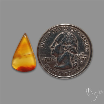 Gemmy Montana Agate Flat Slice Cabochon
