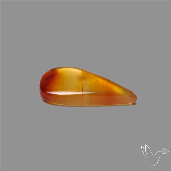Gemmy Montana Agate Flat Slice Cabochon