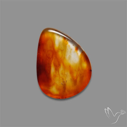 Gemmy Montana Agate Flat Slice Cabochon