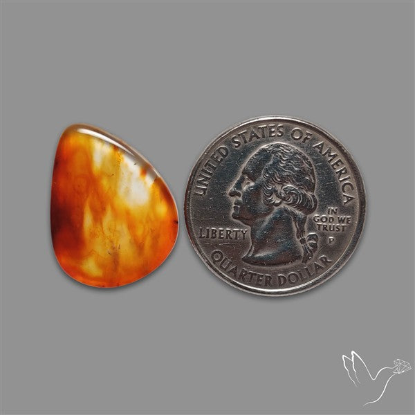 Gemmy Montana Agate Flat Slice Cabochon